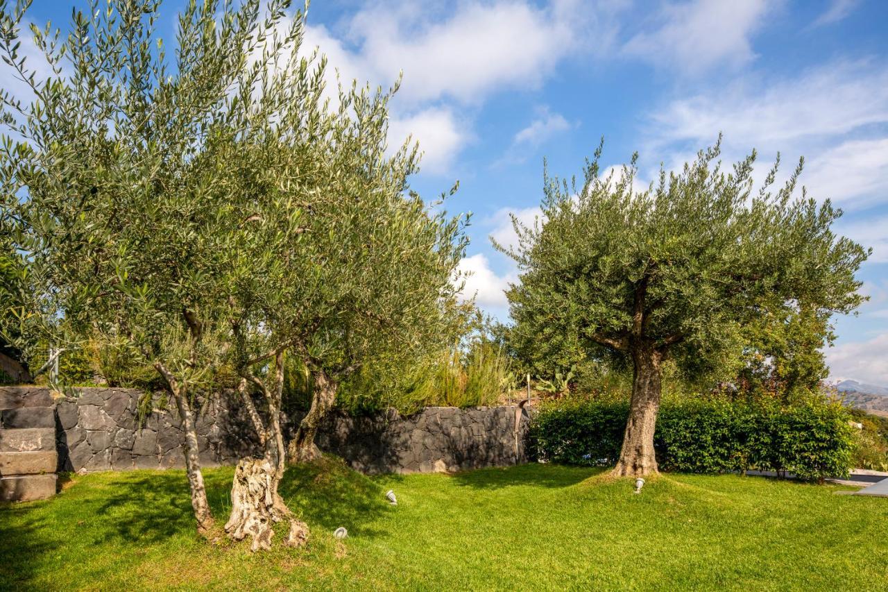 Design Villa In Piedimonte Etneo Exterior foto